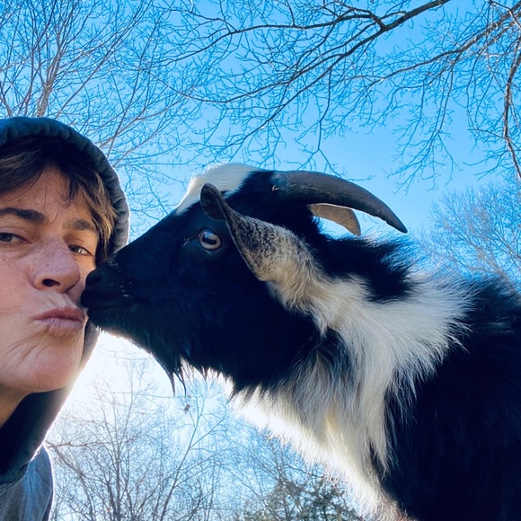 Meet your Posher, Dawn - Picture 8 of 16